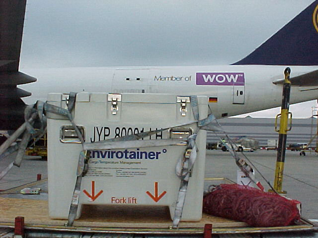 Embarque de cargas da Lufthansa Cargo