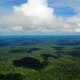 Floresta Amazônica – Manaus