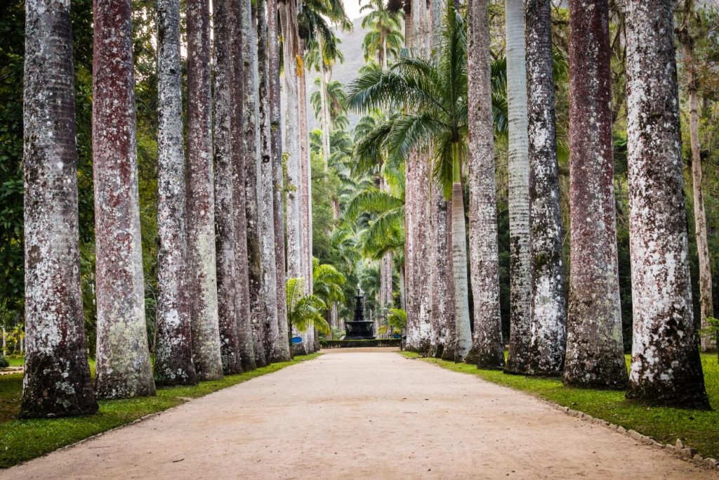 Jardim Botânico – Rio de Janeiro