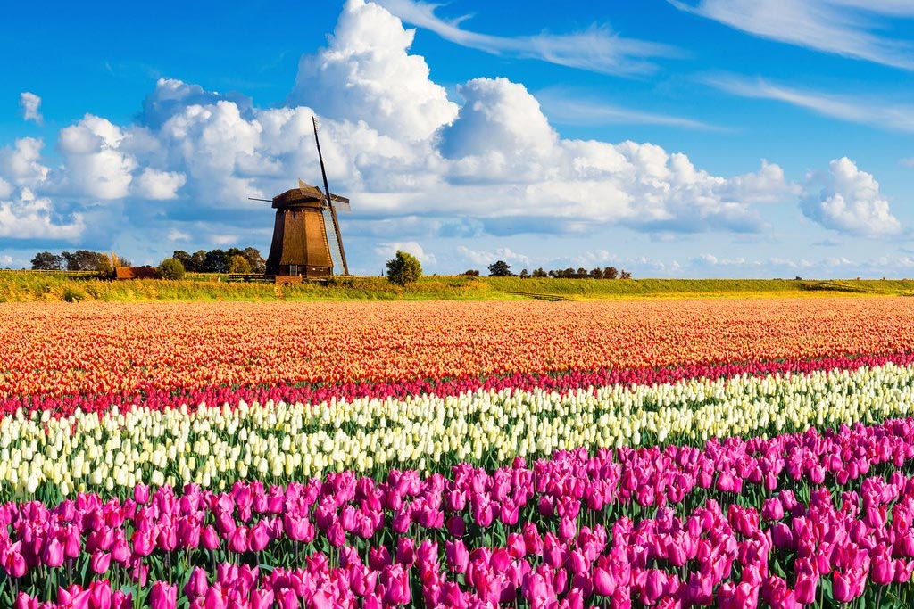 Parque Keukenhof – Holanda