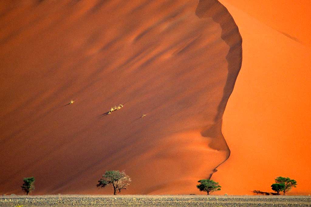 Deserto da Namíbia – Namíbia