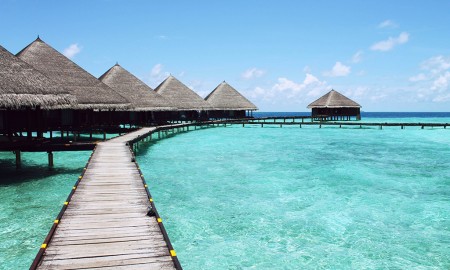 Taiti – Polinésia Francesa por Olga Osadcha