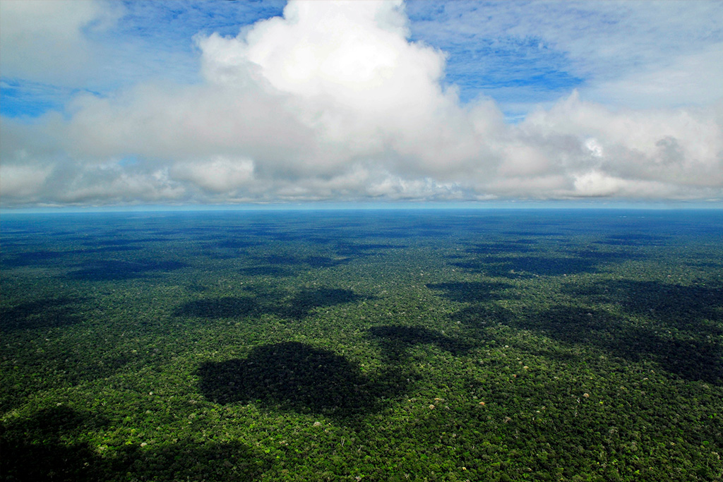 Floresta Amazônica – Manaus