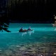 Lago Moraine – Canadá