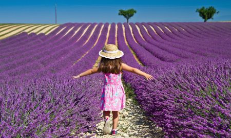 Plateau de Valensole – Puimoisson