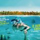 Verão 2017 – O Nordeste espera por você